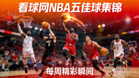 看球网NBA五佳球集锦封面图